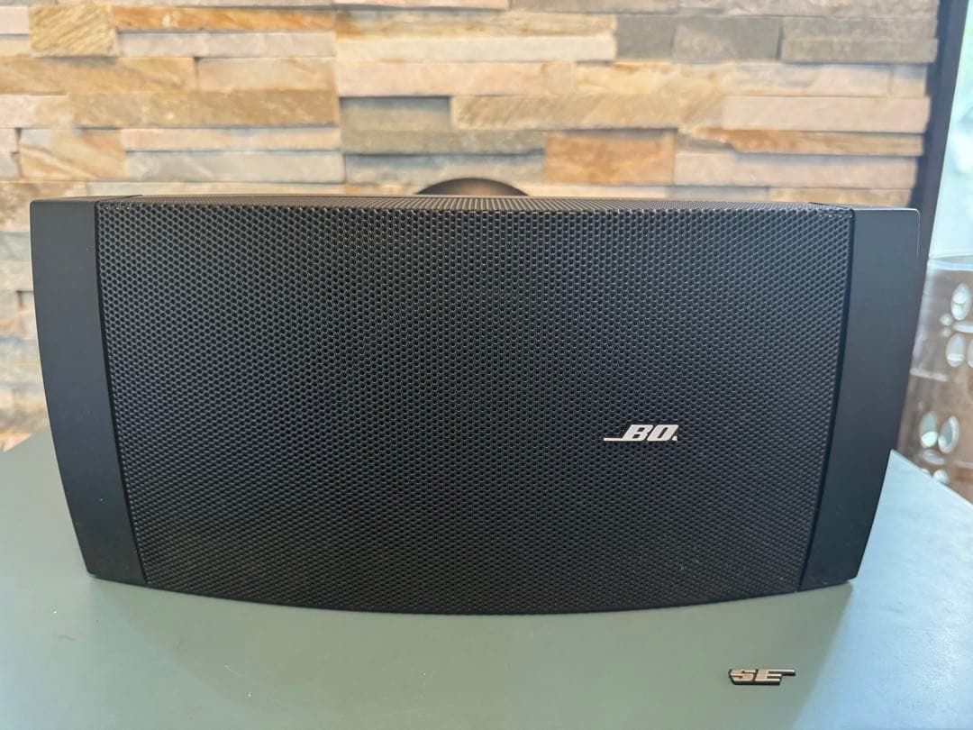 BOSE DS 40SE 全天候型スピーカー
