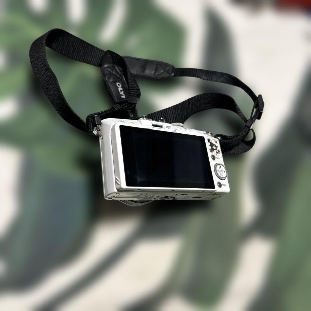 OLYMPUS PEN Lite E-PL5 シルバージャンク