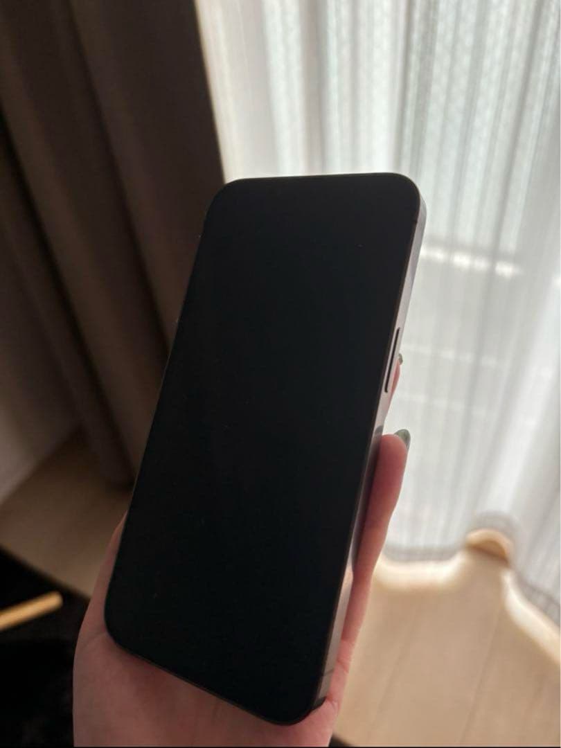 iPhone 13 Pro グラファイト