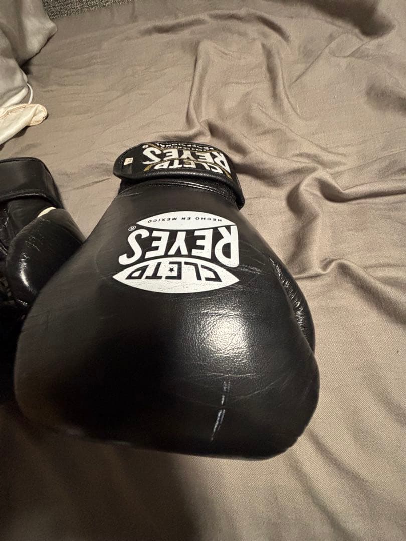 レイジェス ボクシンググローブ 10oz RAYES