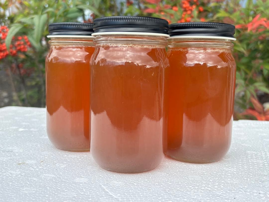 日本蜜蜂蜂蜜　純粋生ハチミツ　非加熱無調整　百花蜜