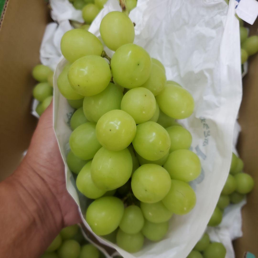 4️⃣ 山梨県産 激甘シャインマスカット１０房入り 込み５キロ