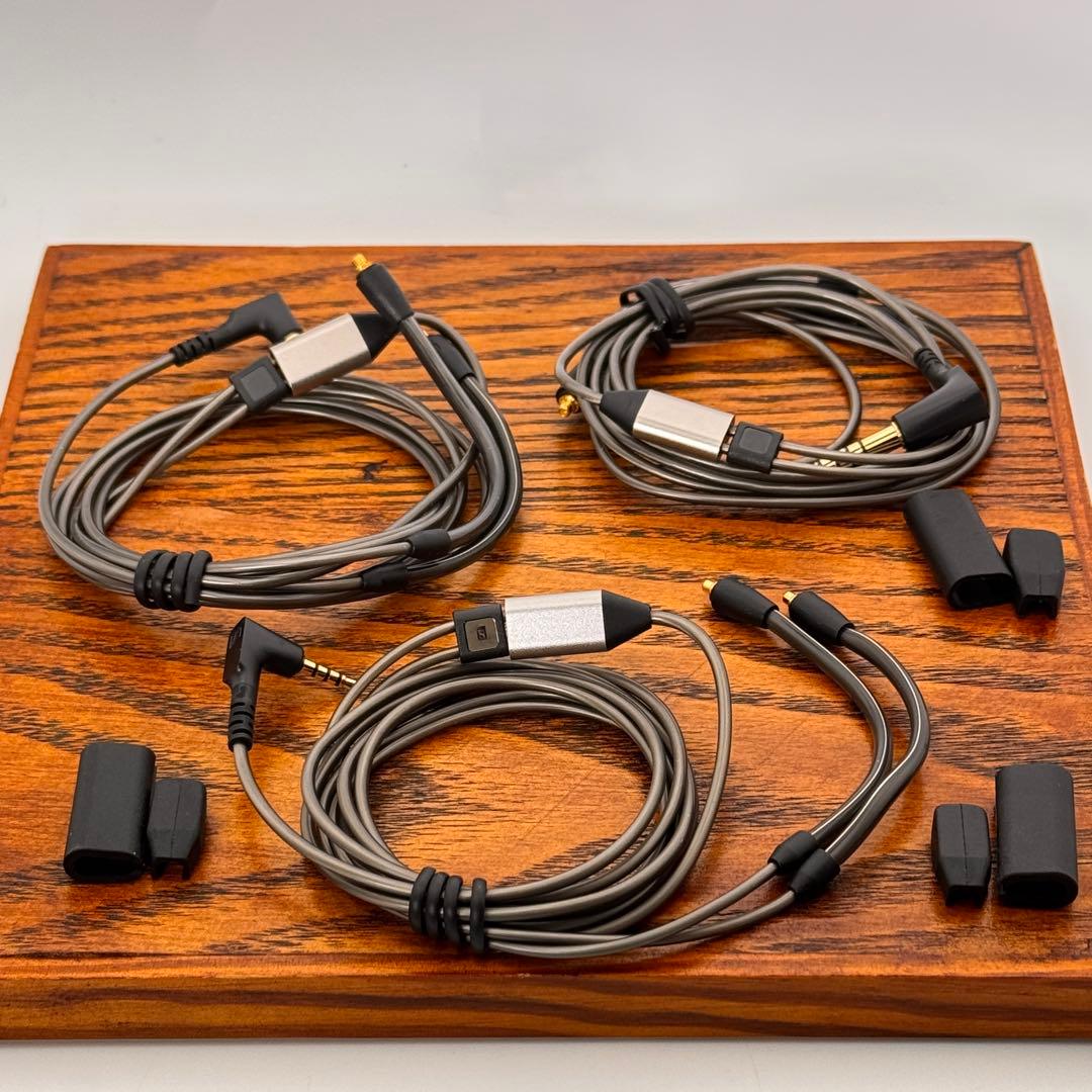 SENNHEISER IE 900 高音質 ハイエンド 有線イヤホン 2024年