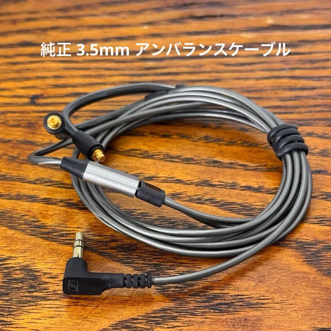 SENNHEISER IE 900 高音質 ハイエンド 有線イヤホン 2024年