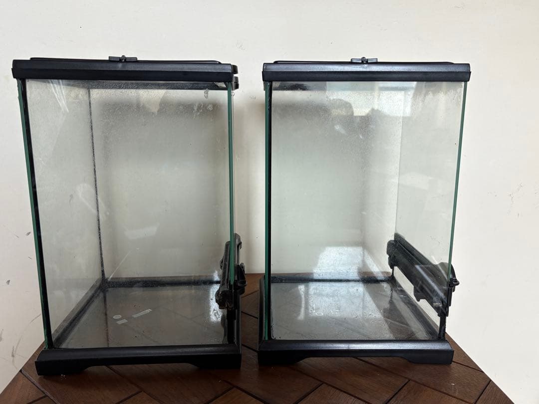 GEX グラステラリウム ナノ　エキゾテラ ケージ　2個セット