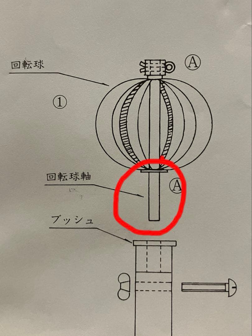 わかば鯉　鯉のぼりセット