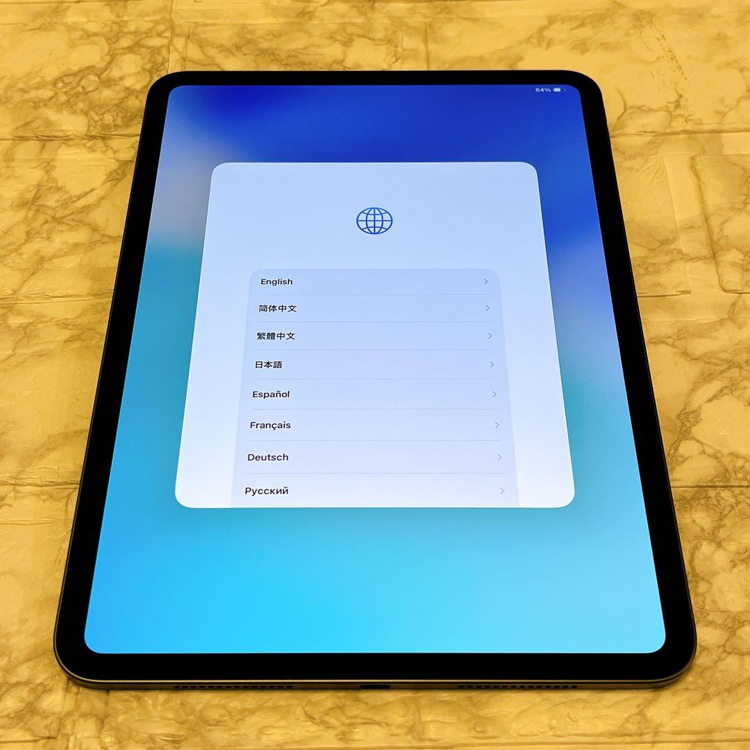 iPad pro M5 11インチ　スペースブラック　256GB Wi-Fi