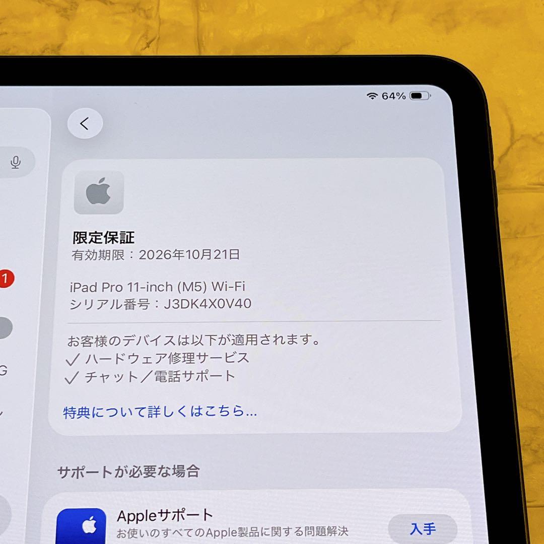 iPad pro M5 11インチ　スペースブラック　256GB Wi-Fi