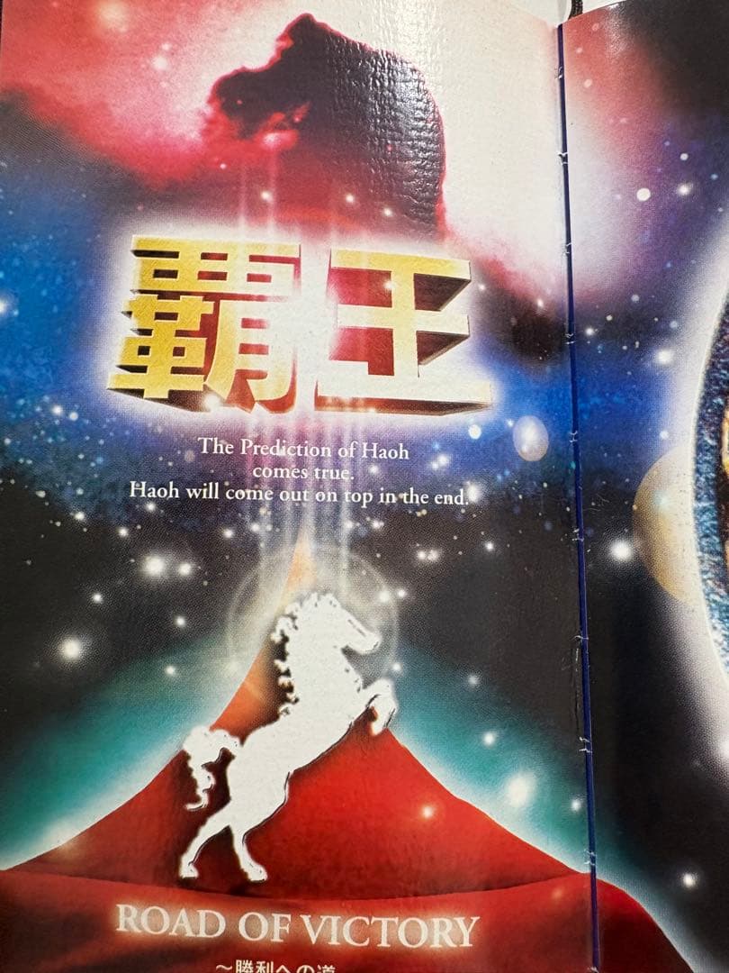 【超レア】競馬必勝法本 覇王　発売元開成堂　定価8万円