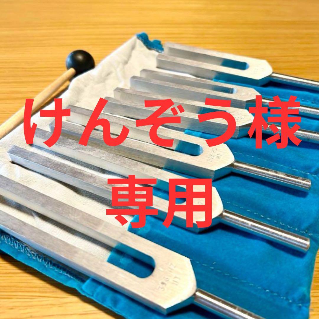 数秘術的な音階・バイオソニックス社製 ソルフェジオチューナーセット６本入