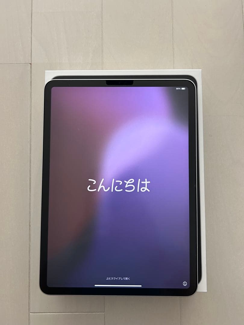 Apple iPad pro 11インチ シルバー 本体　256GB