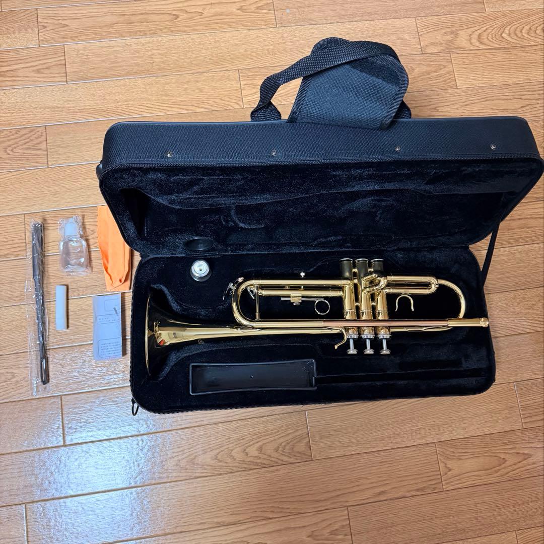 サクラ楽器 ソレイユstr1 単品 ケース付き