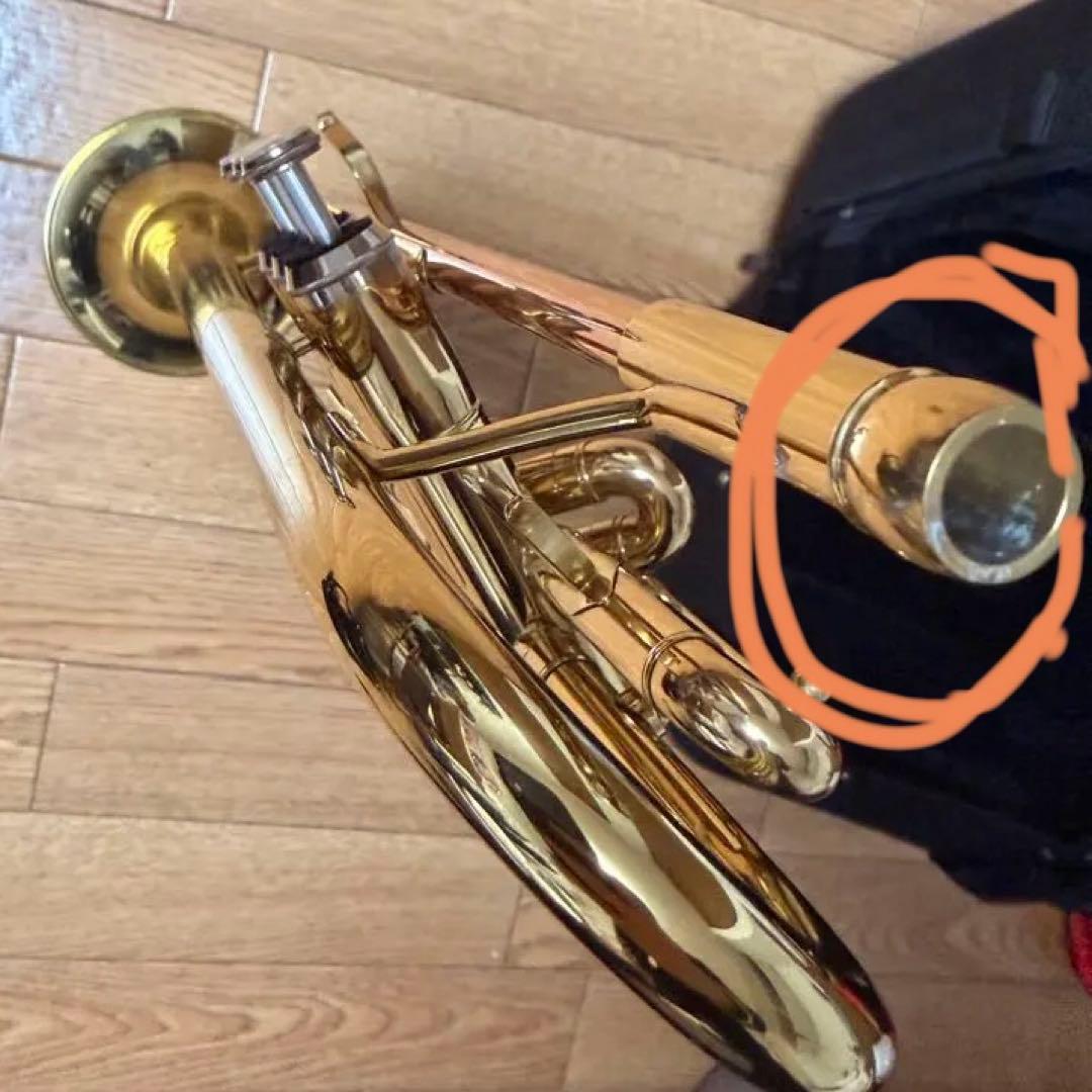 サクラ楽器 ソレイユstr1 単品 ケース付き