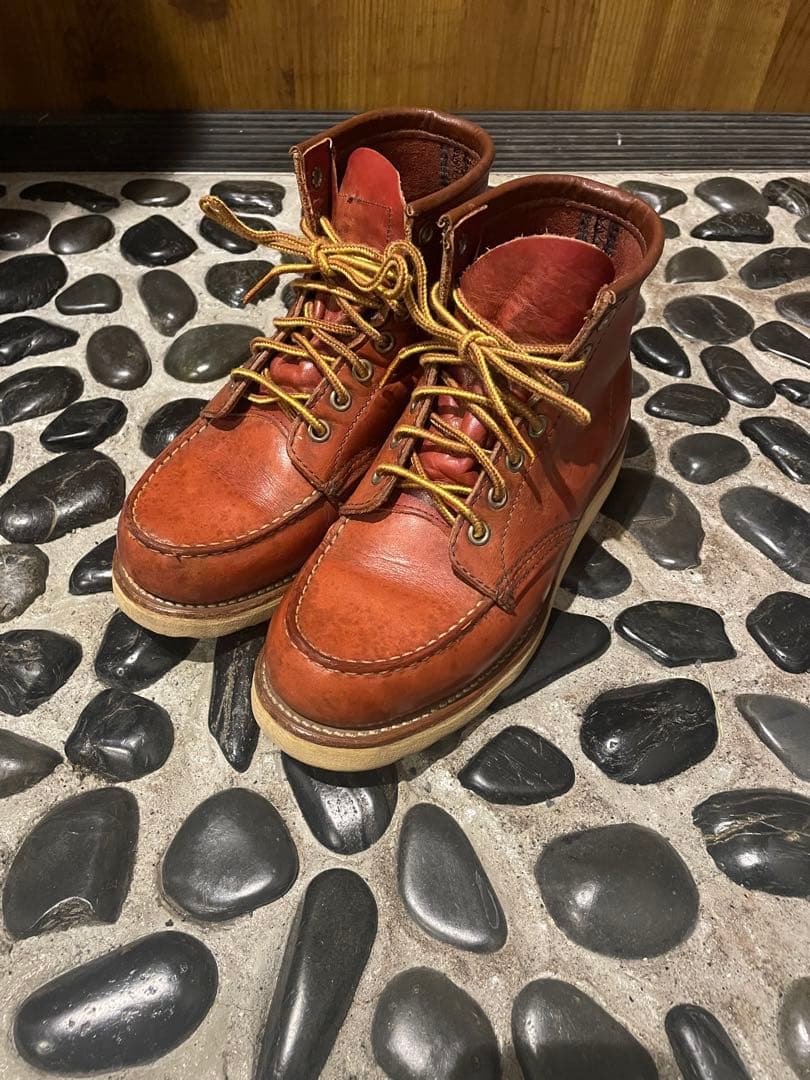 レッドウイング　アイリッシュセッター　23.5センチ