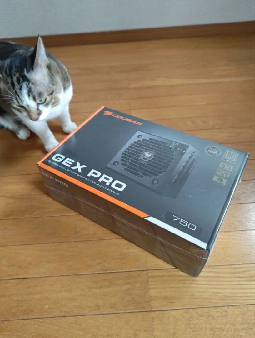 COUGAR GEX PRO 750 電源ユニット PCIe 5.1対応