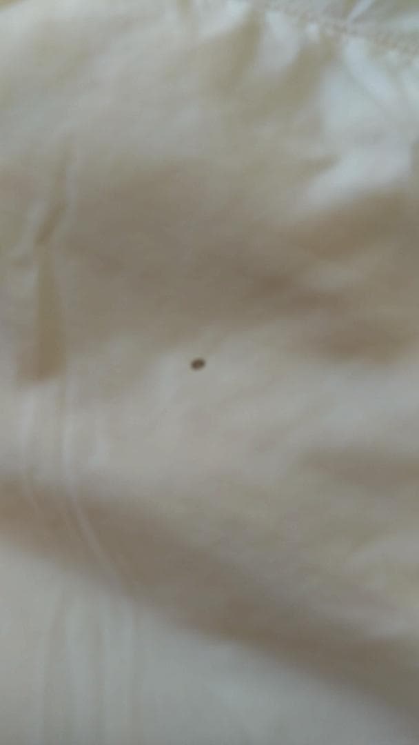 ニトリ　掛け布団　羽毛布団　ダブルサイズ　ホワイト