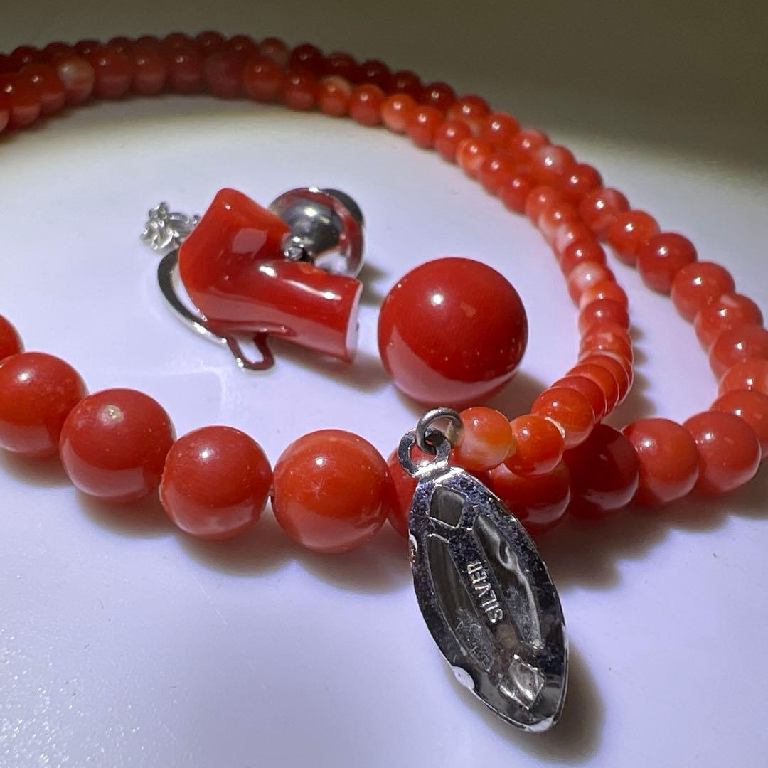 本血赤珊瑚　玉ネックレス、玉等　21g 東Y8-0129☆2Fトヒオ