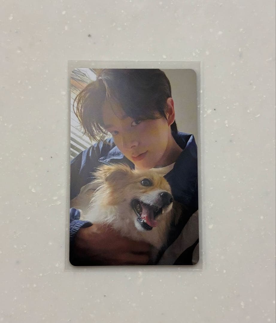 enhypen アンケートトレカ ジェイク