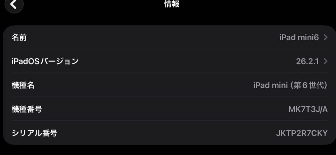 Apple iPad mini6 スペースグレー 箱付き　256gb