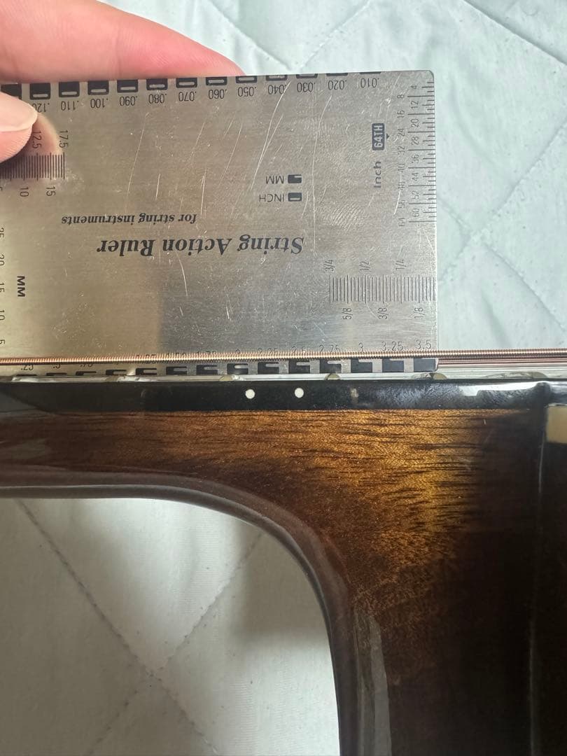 GOAT アコースティックギター スプルーストップ