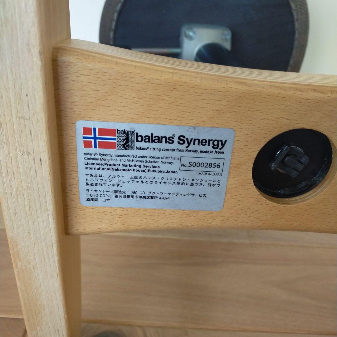 きのこのこのこ