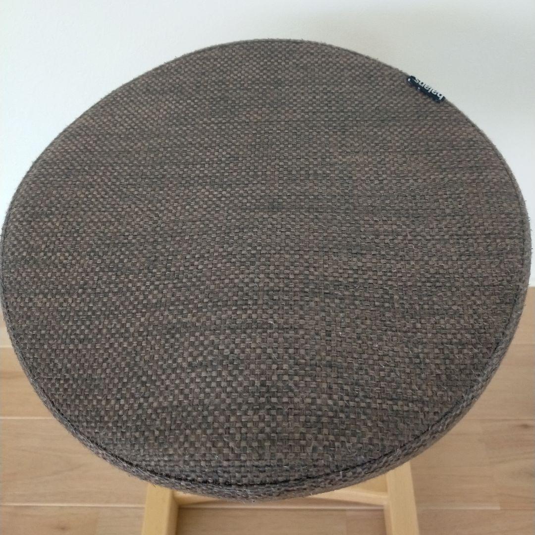 きのこのこのこ