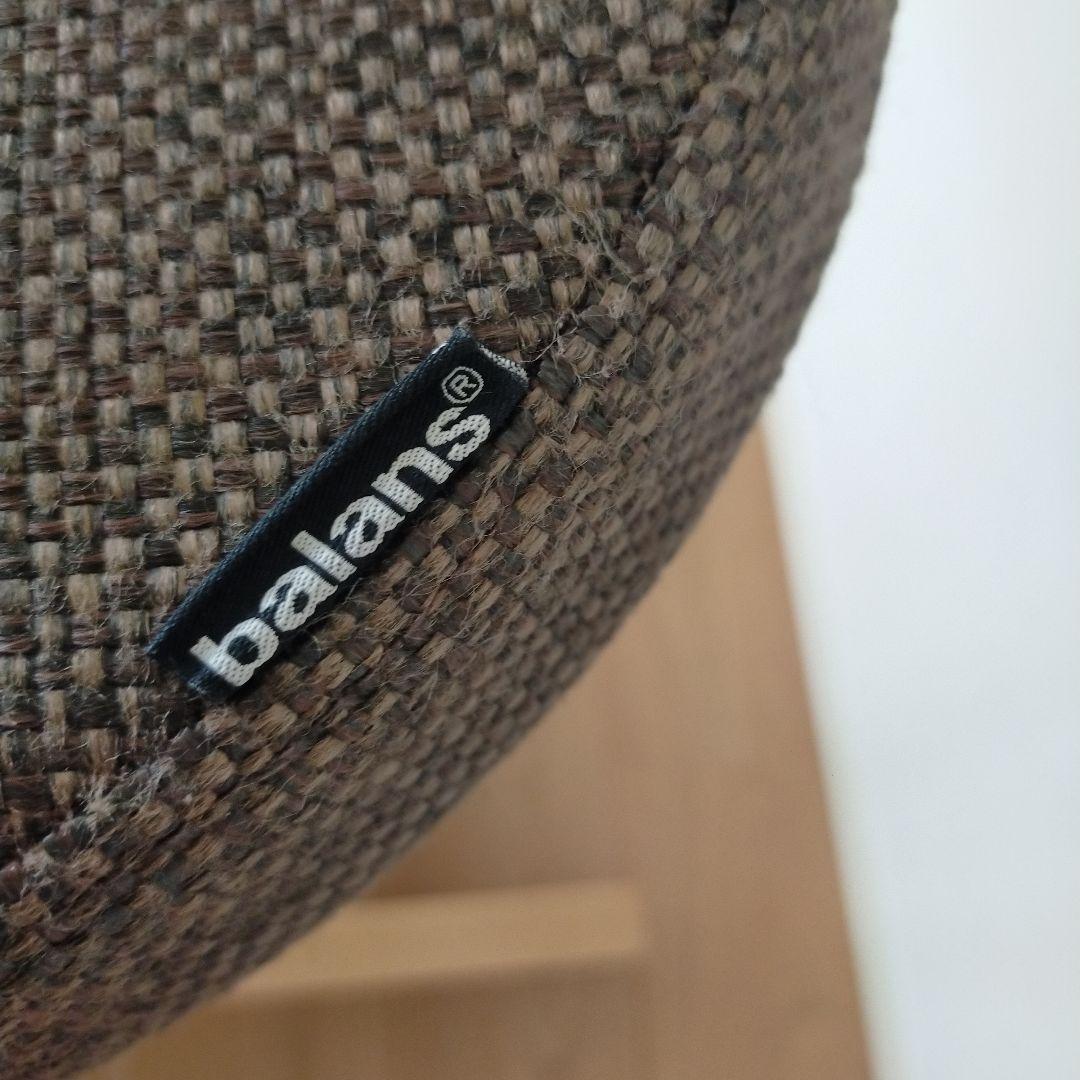 きのこのこのこ