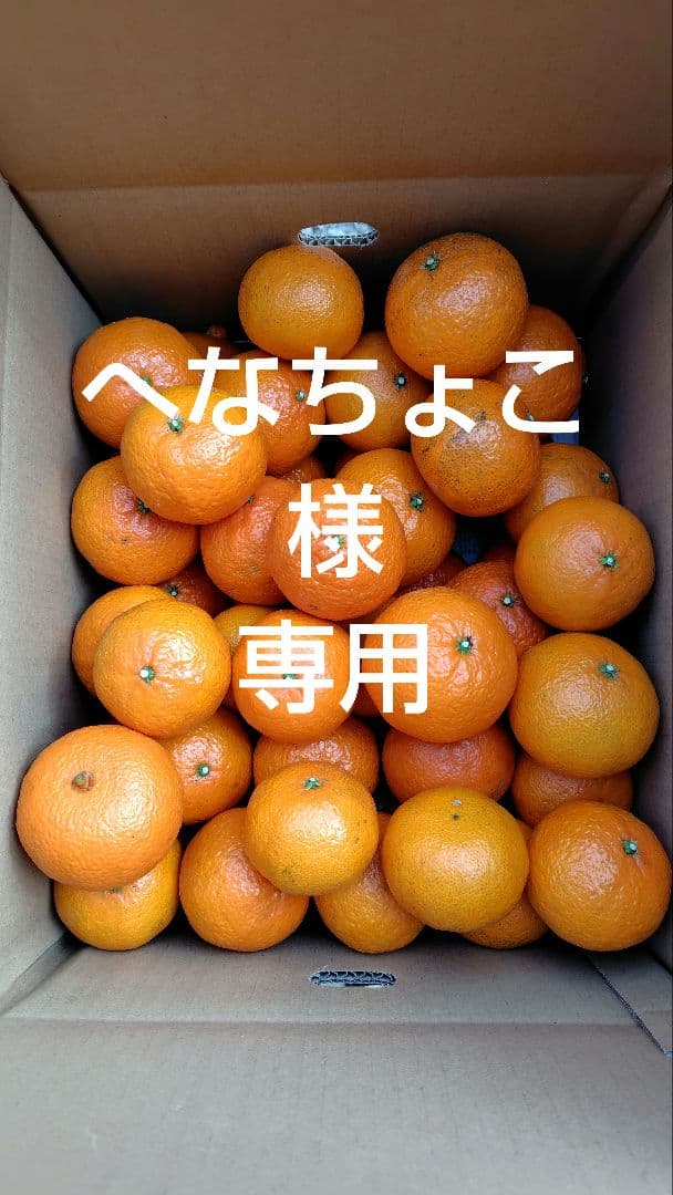 津之輝20㎏(家庭用)へなちょこ