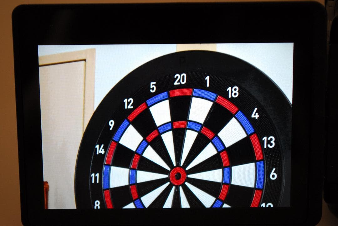 【使用感極少美品】Nikon D5600　WiFiモデル　スマホ転送　自撮りOK