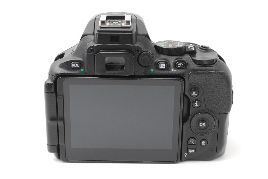 【使用感極少美品】Nikon D5600　WiFiモデル　スマホ転送　自撮りOK