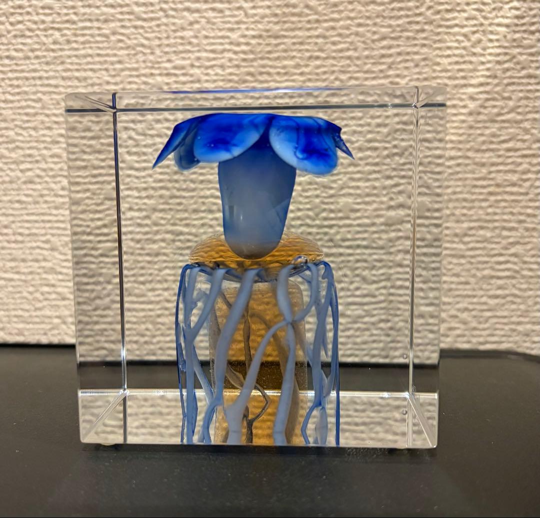 イッタラ ヌータヤルヴィ オイバ・トイッカ アニュアルキューブ 2004