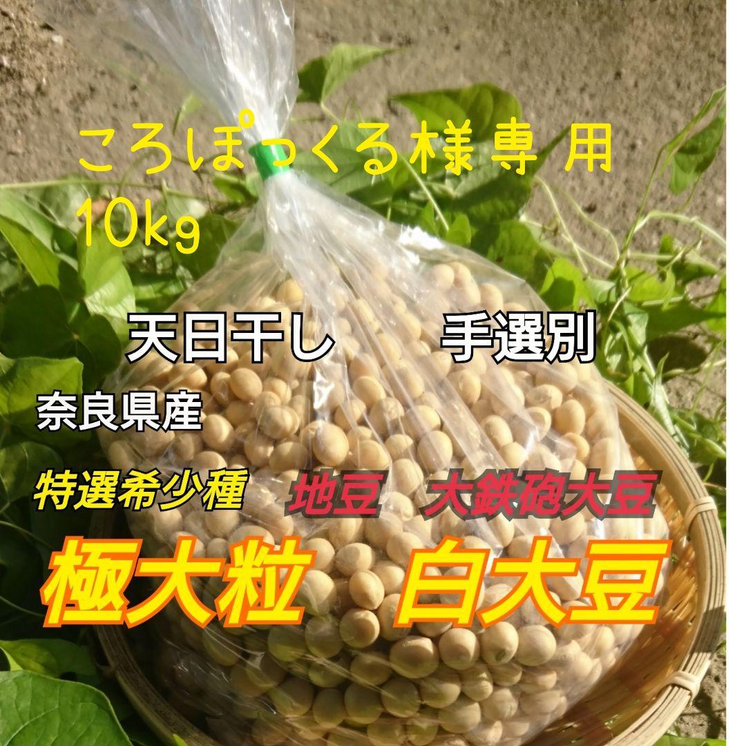 ころぽっくる 白大豆 10kg