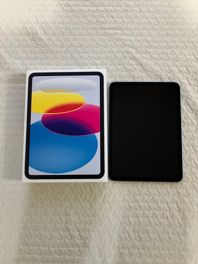 Apple iPad (A16) 本体 ブルー