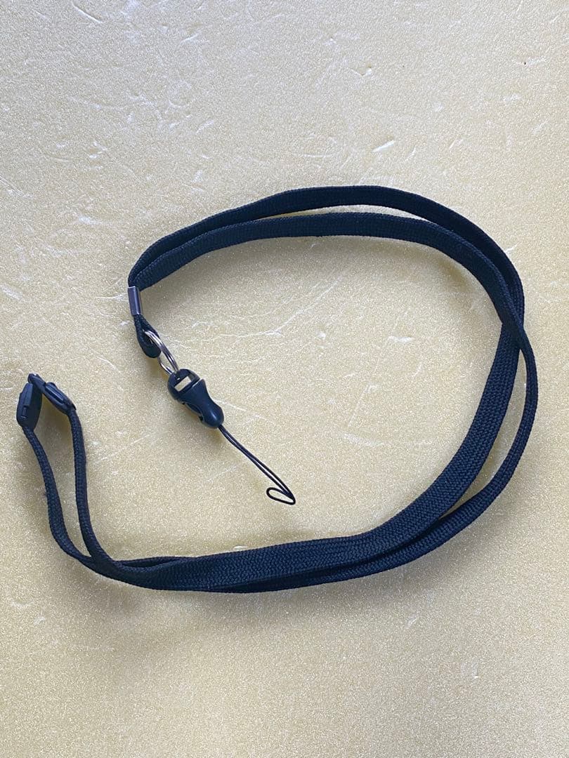 エルバ 集音器 AS-P001（WR）