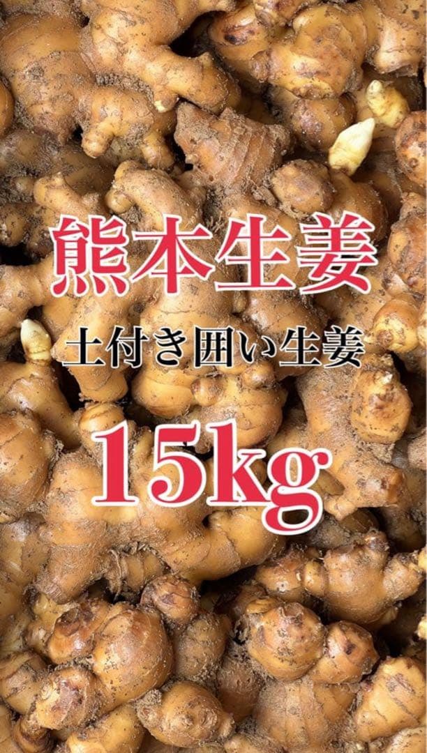 熊本生姜 土付き囲い生姜 15kg