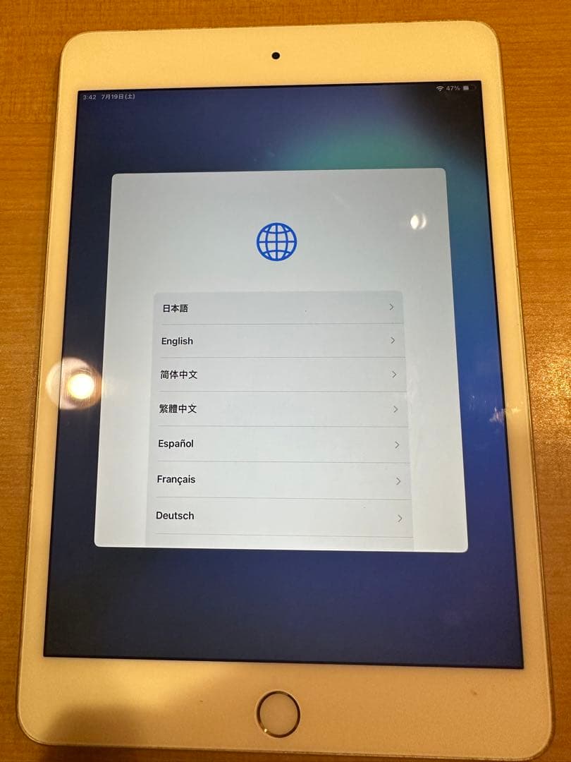 Apple iPad mini 第5世代　256GB Wi-Fi