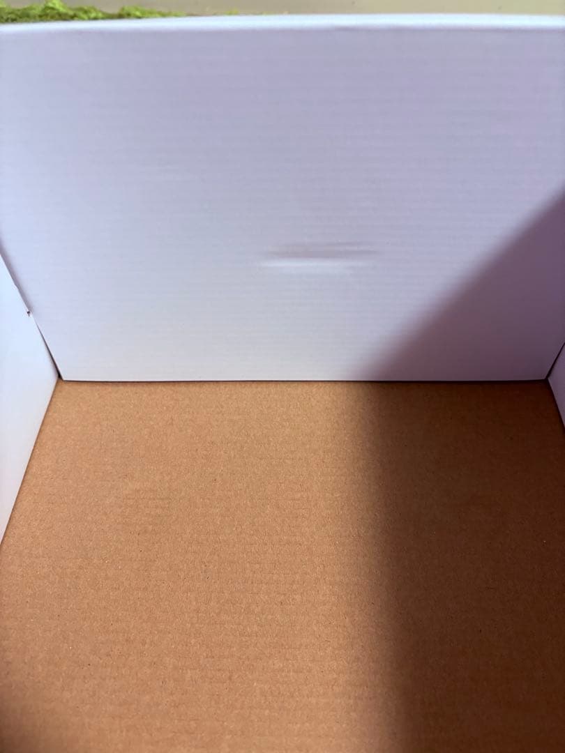 BRUNO コンパクトホットプレート　 10周年限定カラー