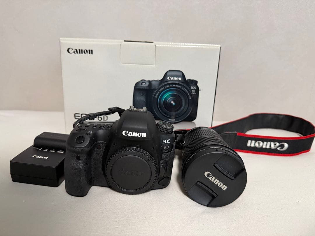 EOS 6D Mark II EF24-105 IS STM レンズキット