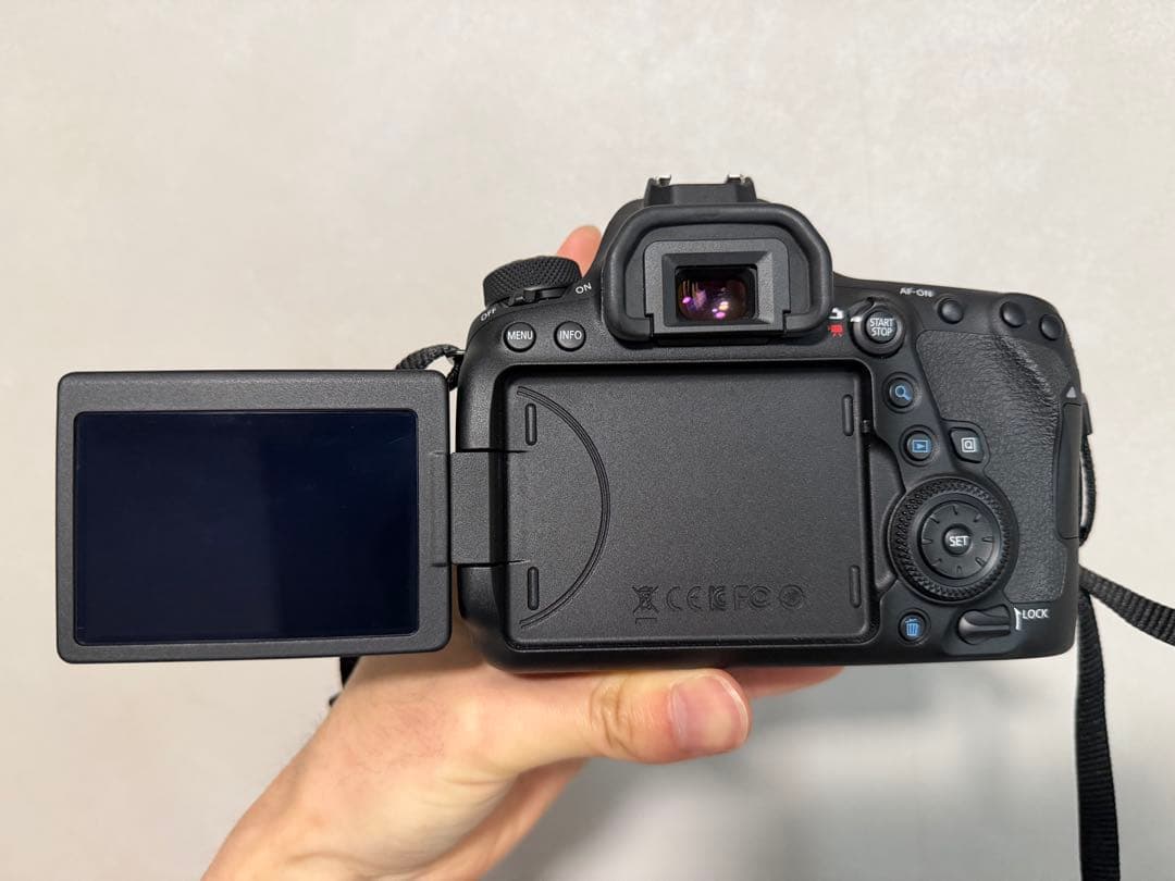 EOS 6D Mark II EF24-105 IS STM レンズキット