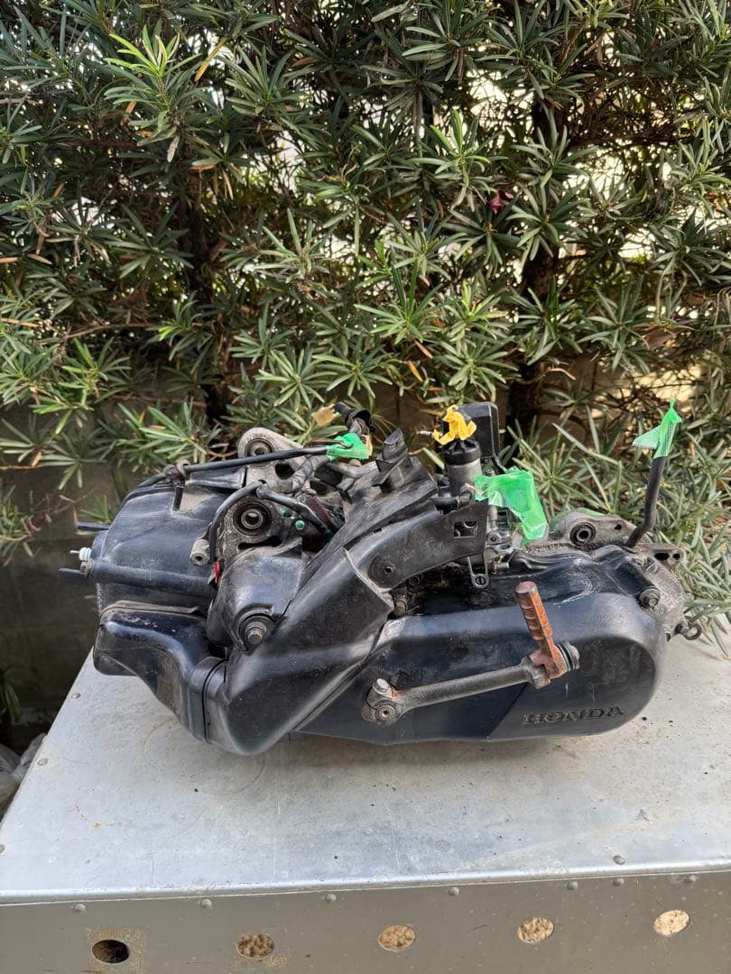 ライブディオZX ZX 規制前　本物　実働エンジン　af35 担々麺