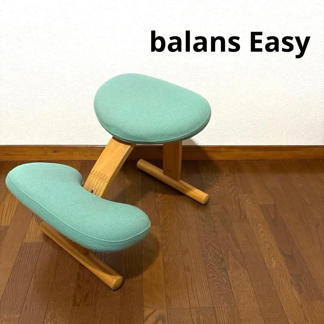 【匿名配送】バランスイージー Rybo 通常フレーム