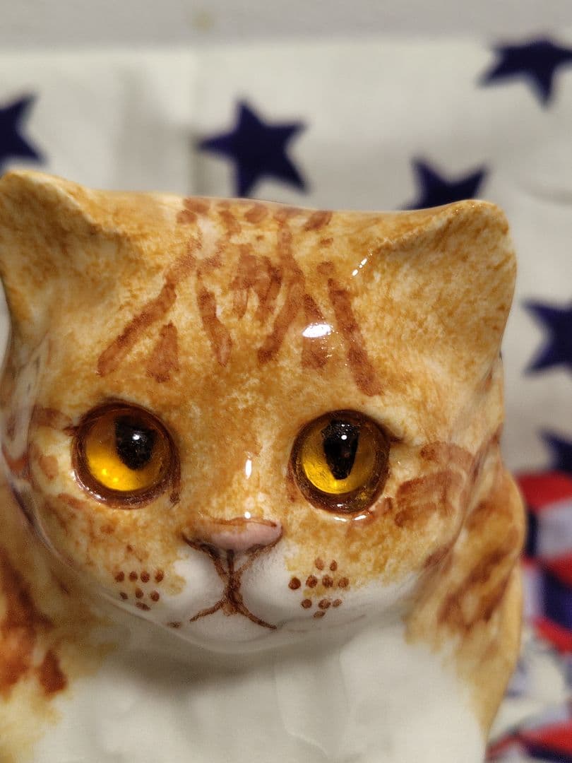 ウィンスタンレイ　ケンジントンキャット　2