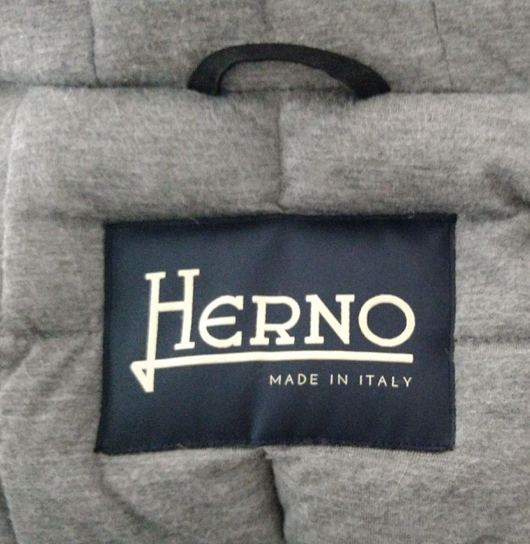 HERNO ヘルノ SUB-ZERO フーデッドダウンコート 44 ブラック