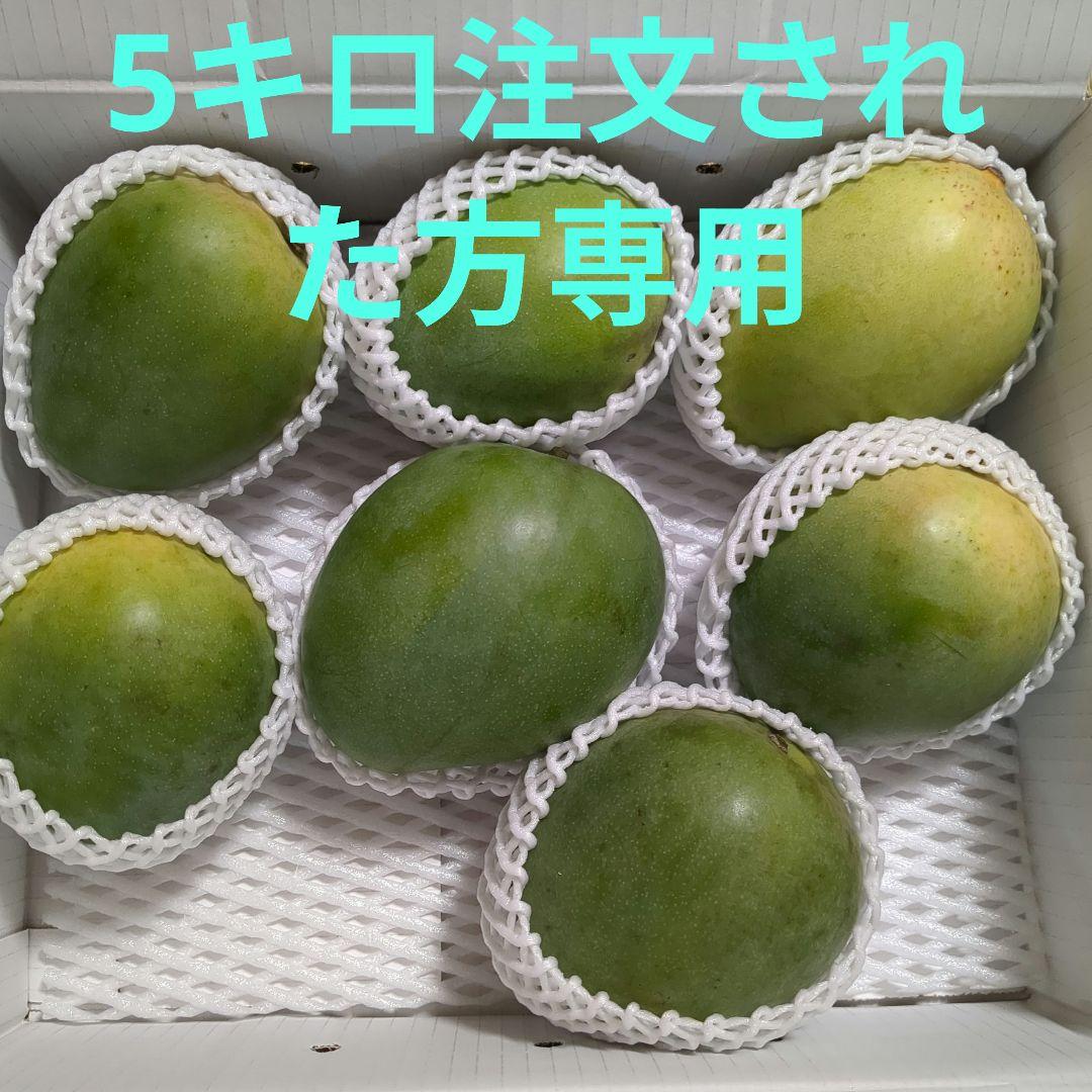 キーツマンゴー5キロ