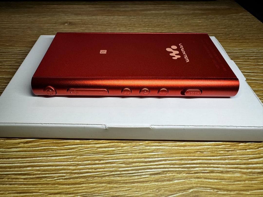 【保護フィルム・本体ケース付き】SONY ウォークマン NW-A55HN