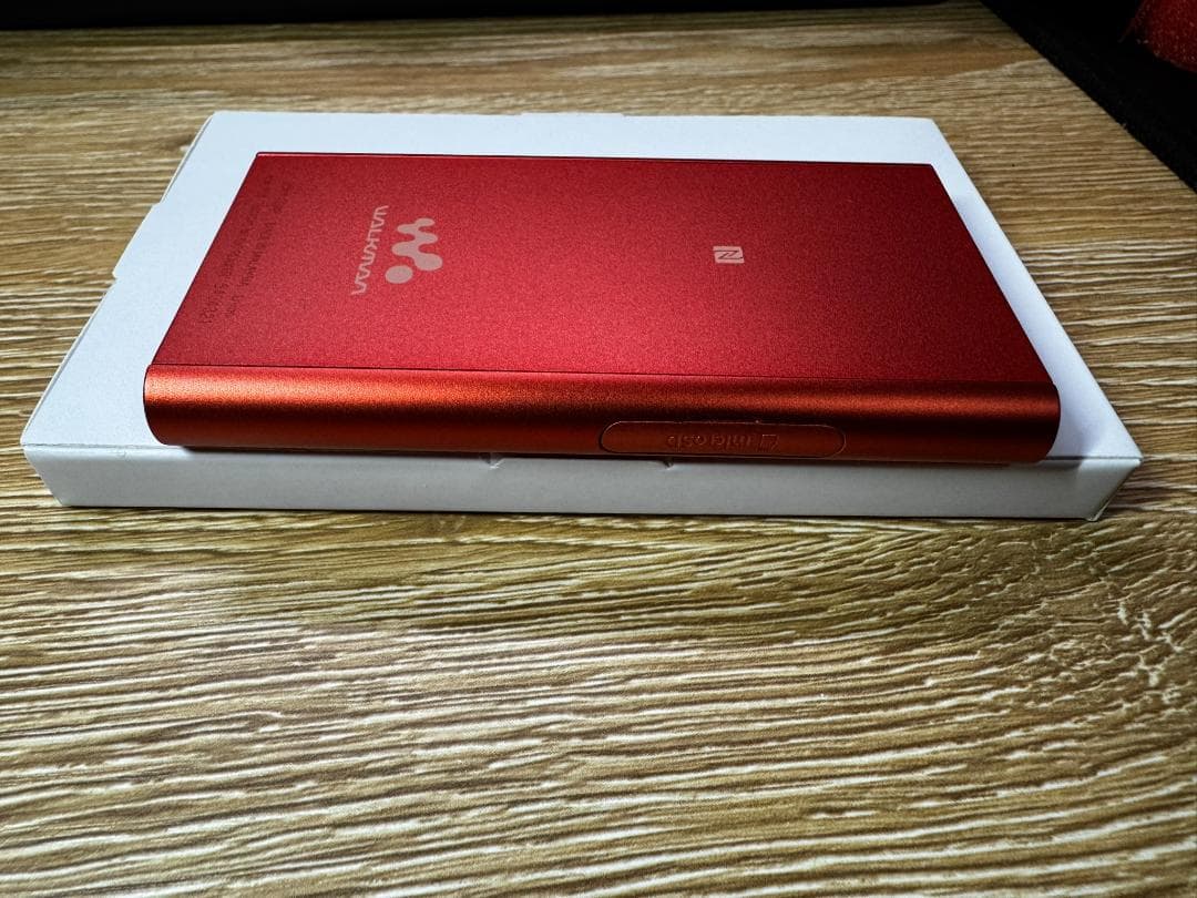 【保護フィルム・本体ケース付き】SONY ウォークマン NW-A55HN