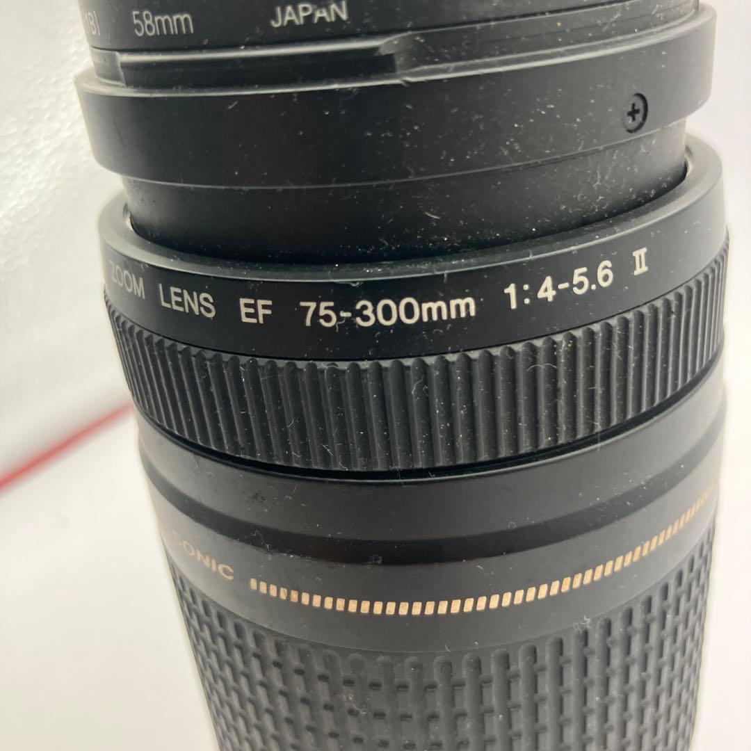 CANON EF 75-300mm ズームレンズ