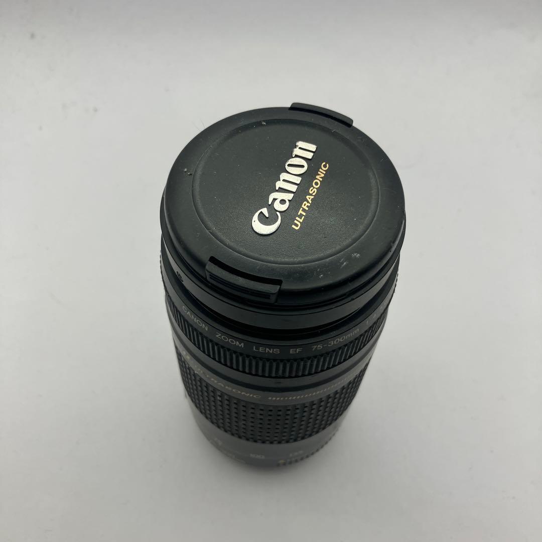 CANON EF 75-300mm ズームレンズ