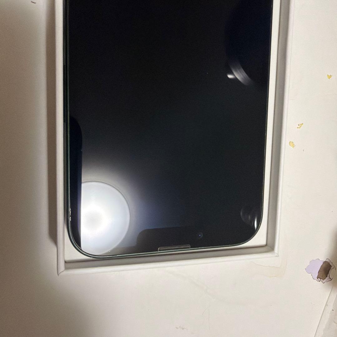 Apple iPhone 13 グリーン 本体 充電差し込み口に不具合有要交換