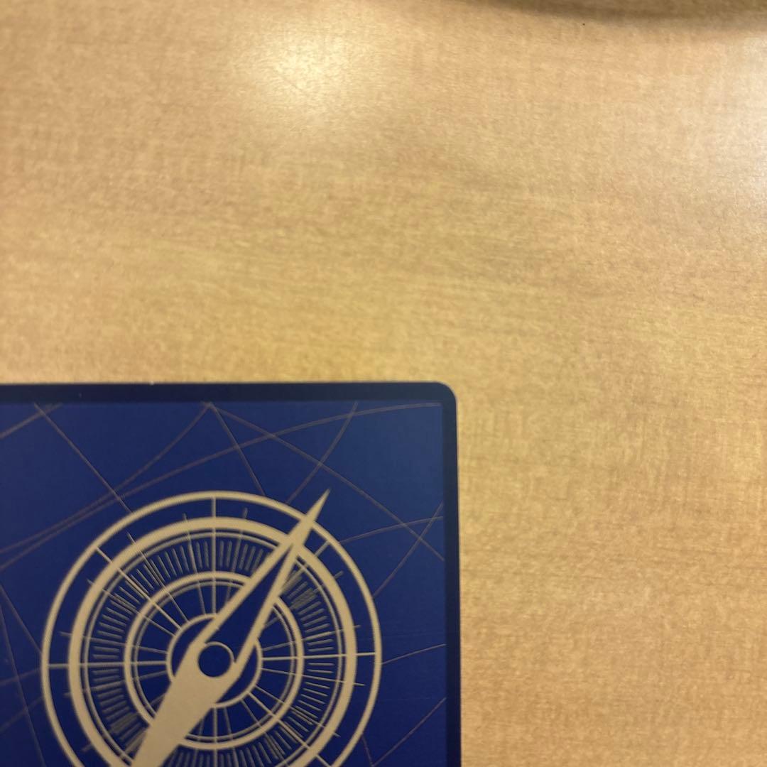 あんしん鑑定対応　値下げ交渉受付中 赤ナミ 中国